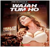 Wajah Tum Ho (2016) Hindi DVDScr 300MB Download